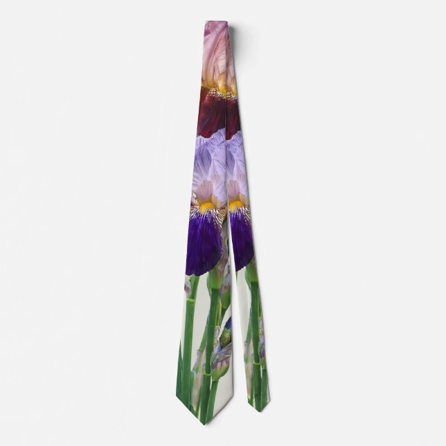Zwei Bart-Iris Eine Marone Eine Violette Krawatte (Vorderseite)