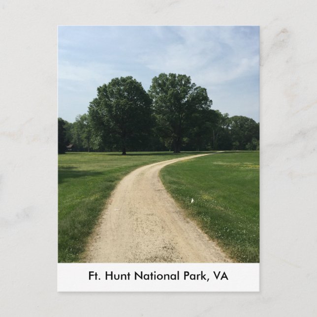 Zwei Bäume bei Ft. Hunt Park Postkarte (Vorderseite)