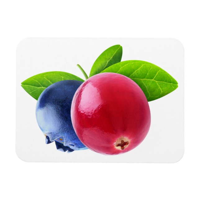 Zwei Beeren Magnet (Horizontal)