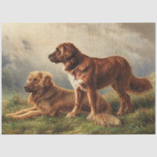 Zwei beobachtende Hunde Seidenpapier