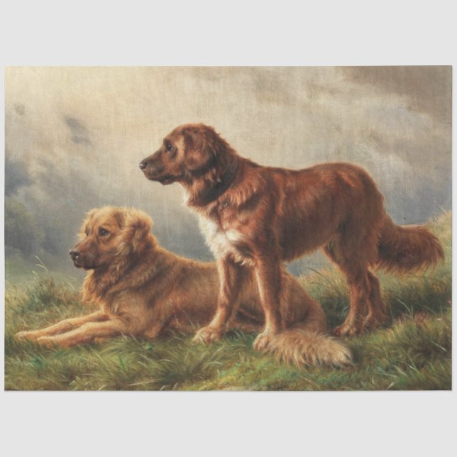Zwei beobachtende Hunde Seidenpapier (Vorderseite)