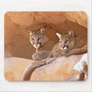 Zwei Berglionen-Mousepad Mousepad