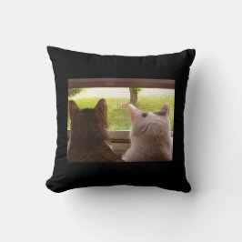 Zwei BESTE FREUNDIN Katzen, die aus dem Fenster Kissen