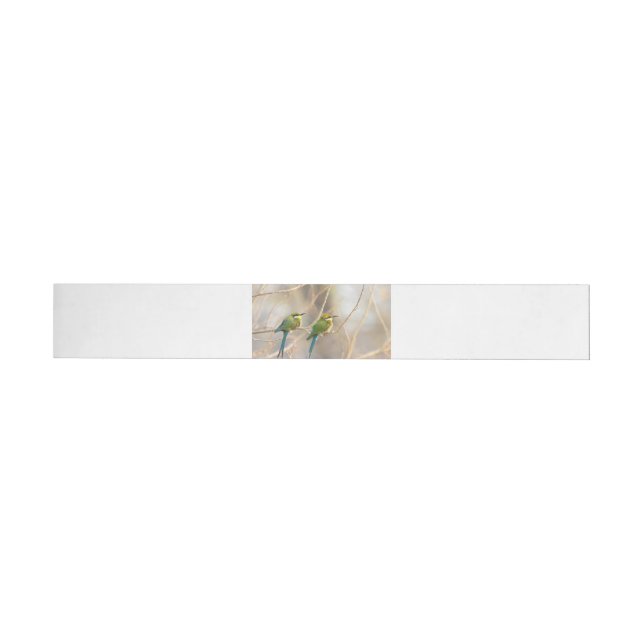 Zwei Bienenfresser (Person)