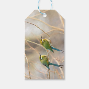 Zwei Bienenfresser Geschenkanhänger