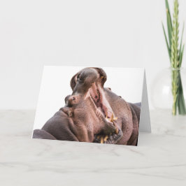 Zwei Big Mouth Hippo Karten