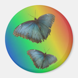 Zwei blaue Morpho-Schmetterlinge Regenbogen-Magnet Magnet