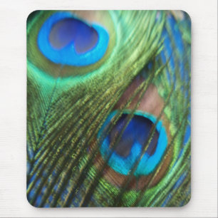 Zwei blaue Pfau-Federn Mousepad