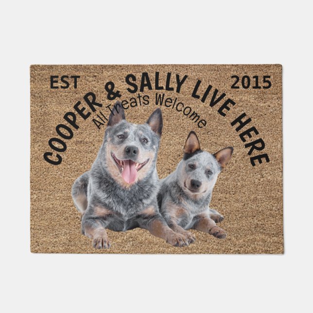 Zwei Blue Heelers Personalisierter Hund Lover Fußmatte (Vorderseite)