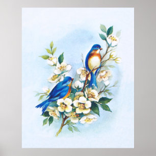 Zwei Bluebirds Poster