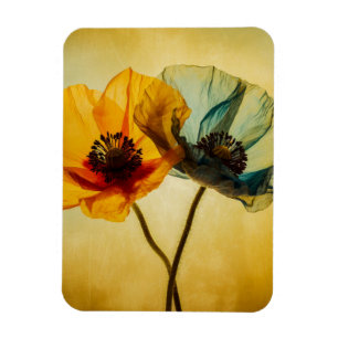 Zwei Blume Magnet