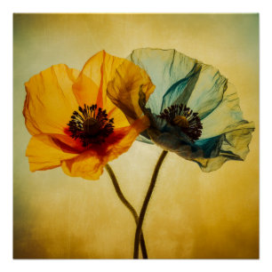 Zwei Blume Poster