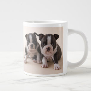 Zwei Boston Terrier Welpen Jumbo-Tasse
