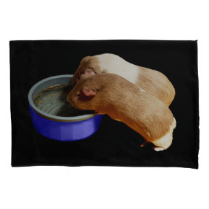 zwei braune und weiße Guinea, Kissenbezug