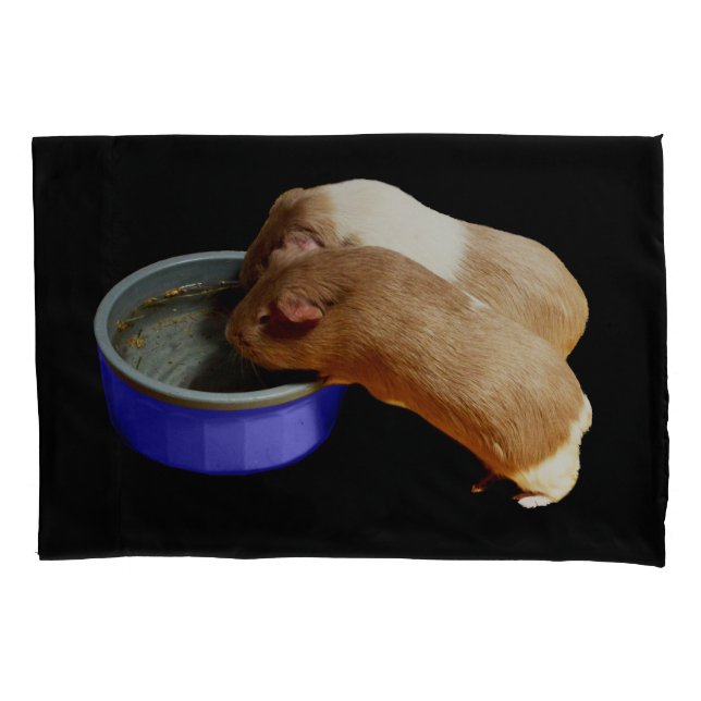zwei braune und weiße Guinea, Kissenbezug (Vorderseite)