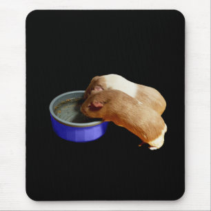 zwei braune und weiße Guinea, Mousepad