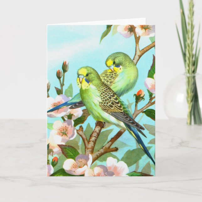 Zwei Budgerigis Feiertagskarte (Vorderseite)