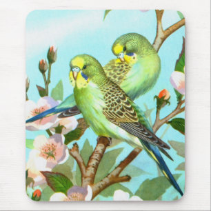 Zwei Budgerigis Mousepad