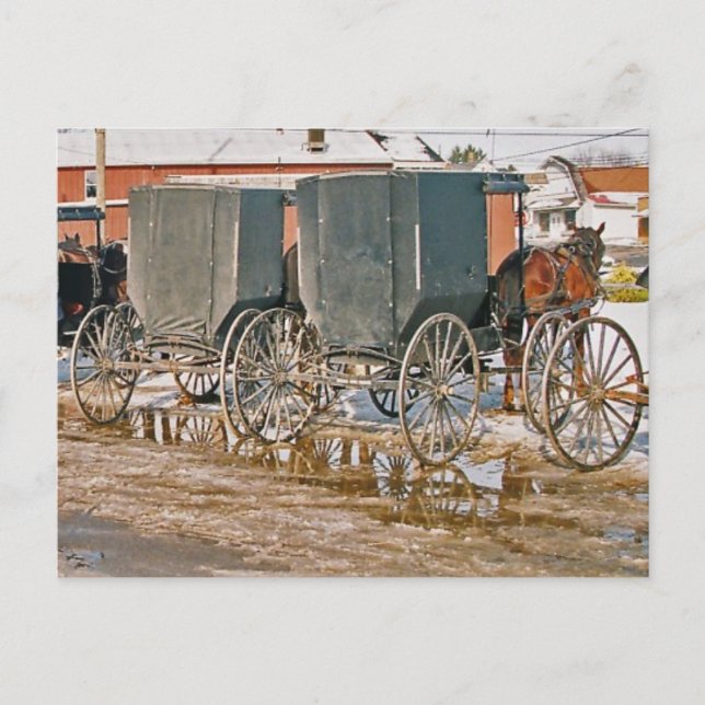 Zwei Buggyen Puddle Postkarte (Vorderseite)