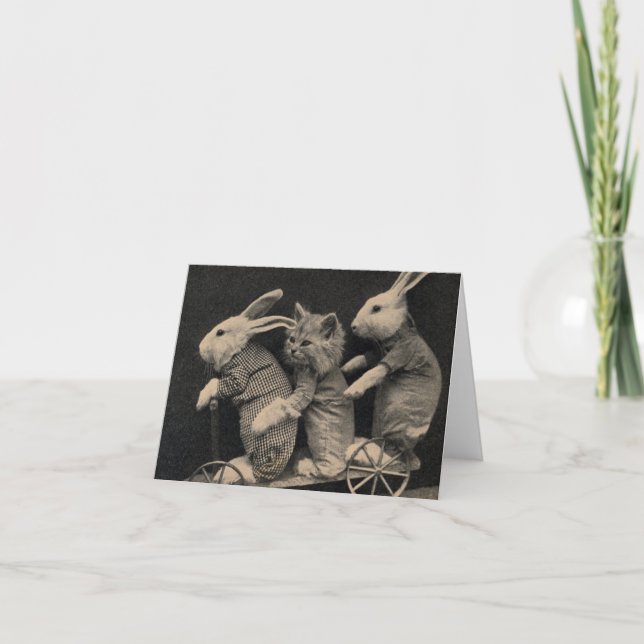Zwei Bunnies und ein Kitten auf der Karte (Vorderseite)