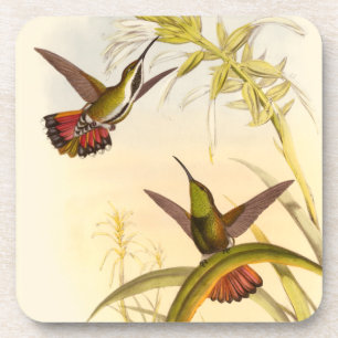 Zwei bunte Kolibris, die die gleiche Blume Getränkeuntersetzer