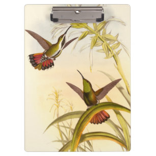 Zwei bunte Kolibris, die die gleiche Blume Klemmbrett