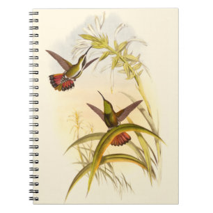Zwei bunte Kolibris, die die gleiche Blume Notizblock