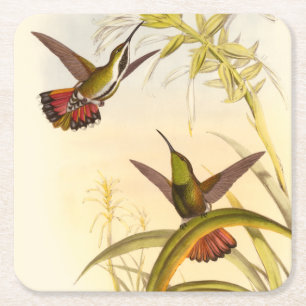 Zwei bunte Kolibris, die die gleiche Blume Rechteckiger Pappuntersetzer