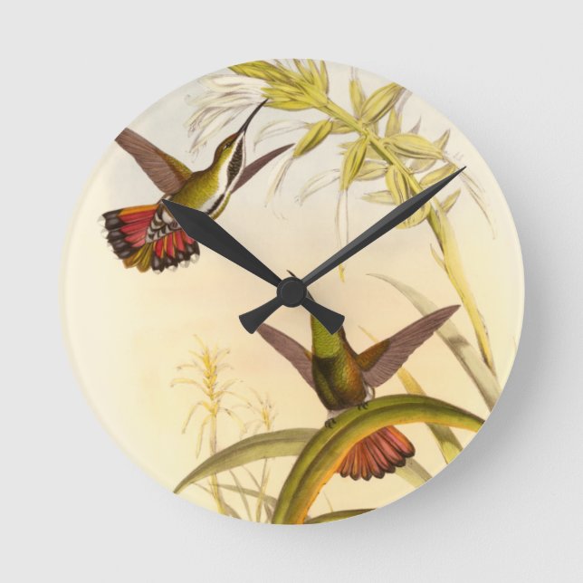 Zwei bunte Kolibris, die die gleiche Blume Runde Wanduhr (Vorderseite)