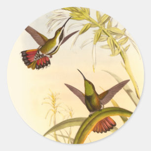 Zwei bunte Kolibris, die die gleiche Blume Runder Aufkleber