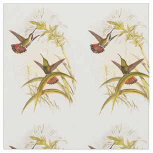 Zwei bunte Kolibris, die die gleiche Blume Stoff
