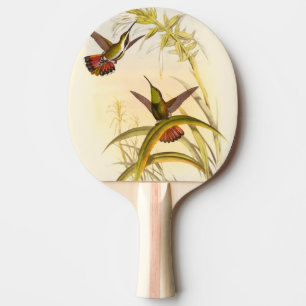 Zwei bunte Kolibris, die die gleiche Blume Tischtennis Schläger