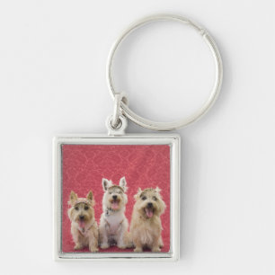 Zwei cairin Terrier und ein westie Schlüsselanhänger