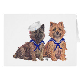 Zwei Cairn-Terrier Seeleute