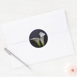 Zwei Calla-Lilien auf schwarz Runder Aufkleber