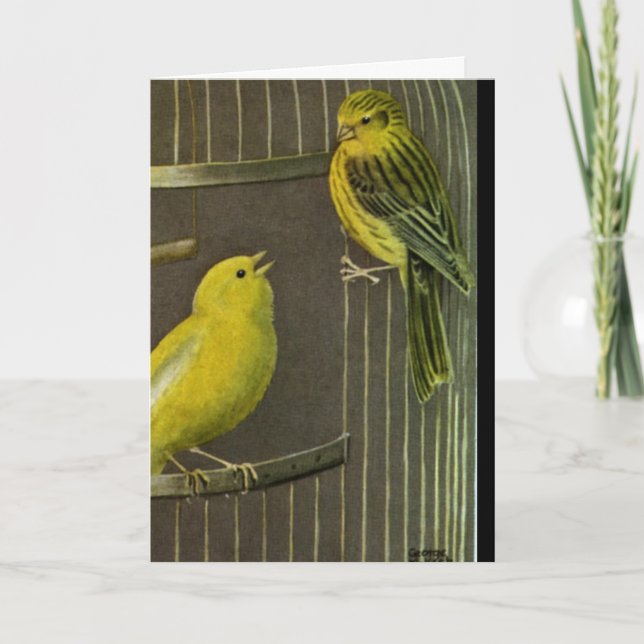 Zwei Canaries, die Kunst-Gruß-   Karte malen (Vorderseite)