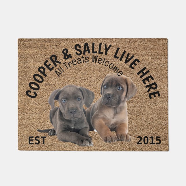 Zwei Cane Corso Personalisierter Hund Lover Fußmatte (Vorderseite)