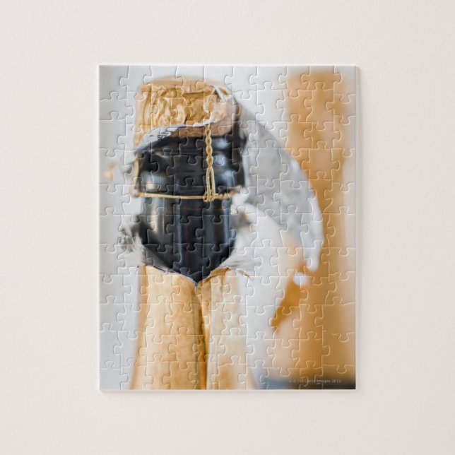 Zwei Champagnerflaschen (Vertikal)