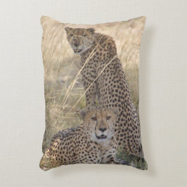 Zwei Cheetahs Kissen