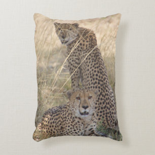 Zwei Cheetahs Kissen