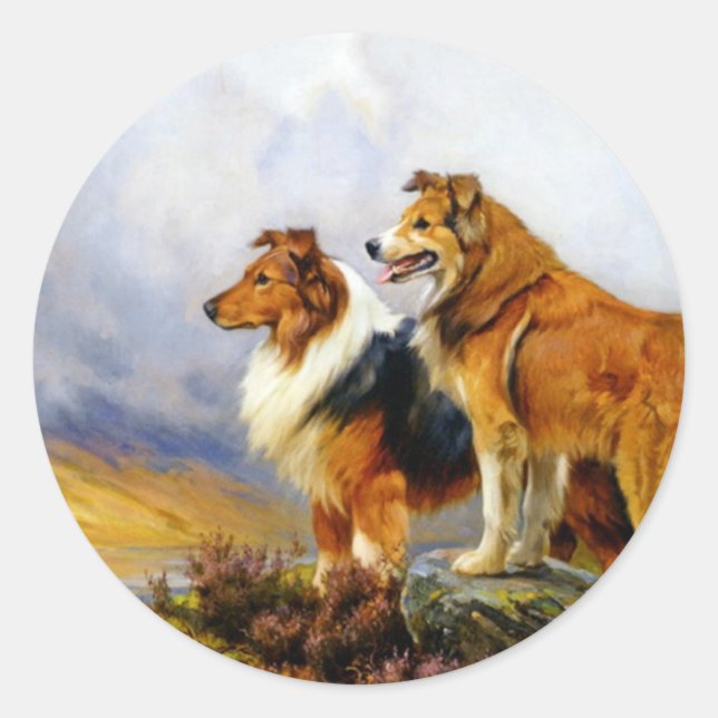 Zwei Collie Hunde über einem See Runder Aufkleber (Vorderseite)