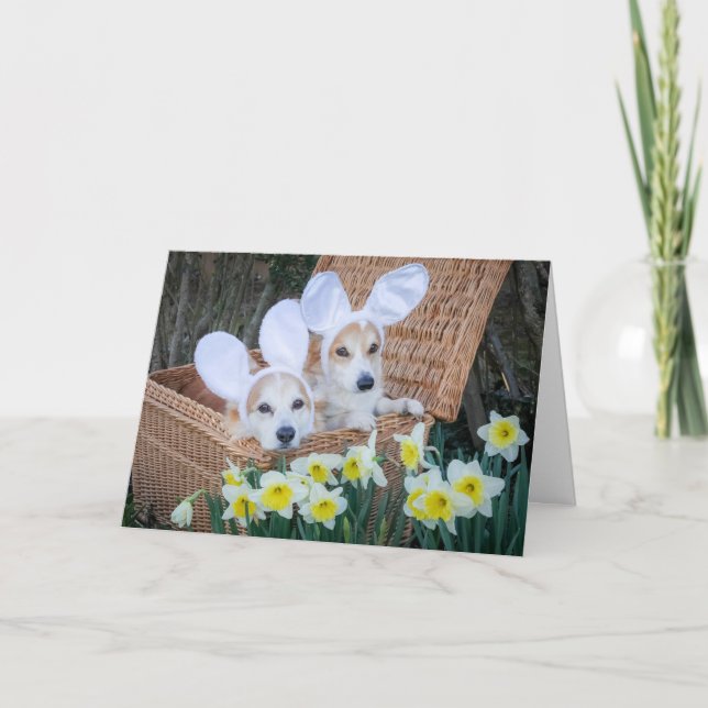 Zwei Corgis in einem Korb Ostern Grußkarte Karte (Vorderseite)
