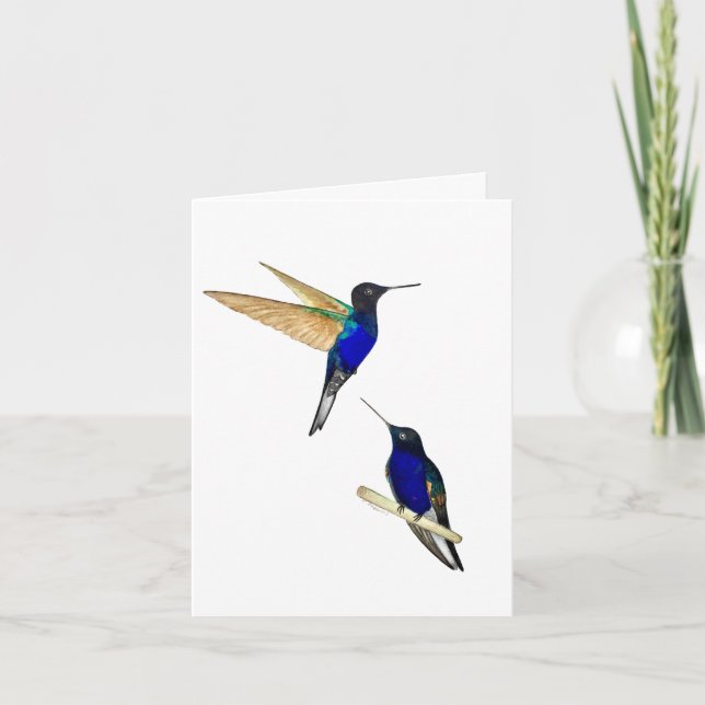 Zwei Coronet Hummingbirds Grußkarte Karte (Vorderseite)