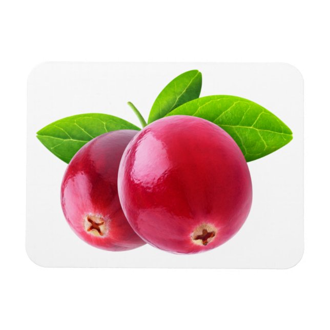 Zwei Cranbeeren Magnet (Horizontal)