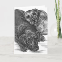 Zwei Cuddly Hunde, die durch Kelli Schwan zeichnen