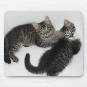 Zwei Darling Kittens Maus Pad Mousepad