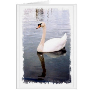 Zwei dauerhafte Bequests