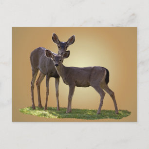 ZWEI DECKEN POSTKARTE