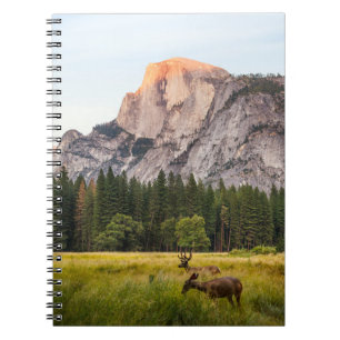 ZWEI DECKEN VOR EINER HALBEN DOME IM YOSEMITTALLEY NOTIZBLOCK