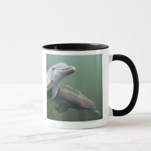 Zwei Delphine Unterwasser Tasse